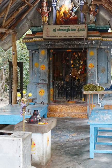 Tamil Nadu-Divers-004